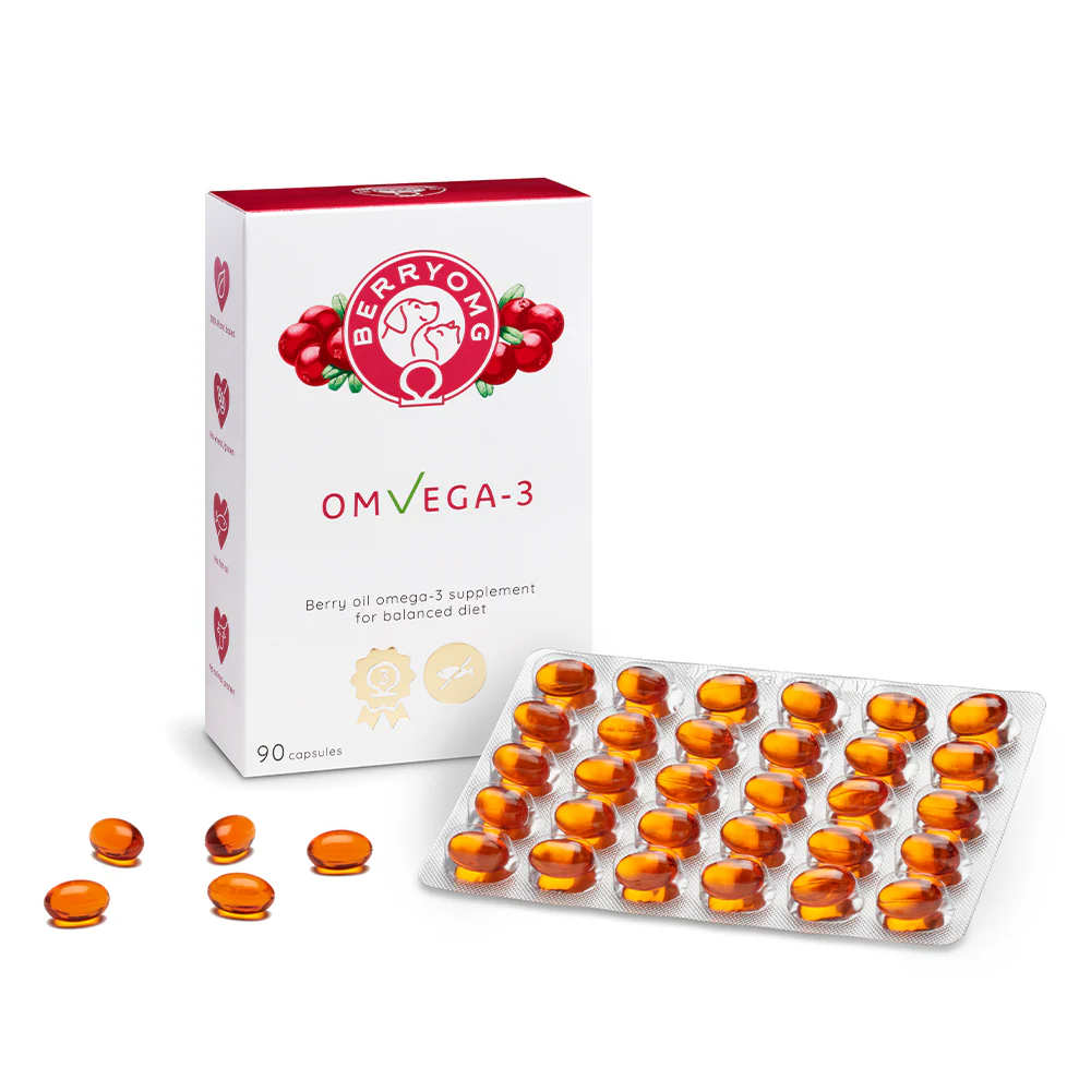Berry OMG OMvEGA-3 - Image 3