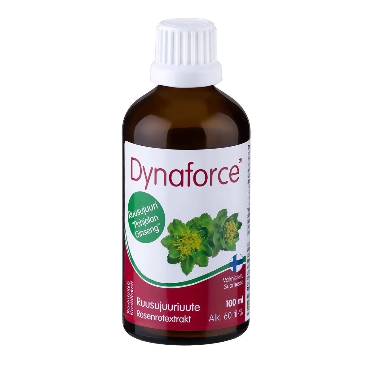 Dynaforce - Image 2