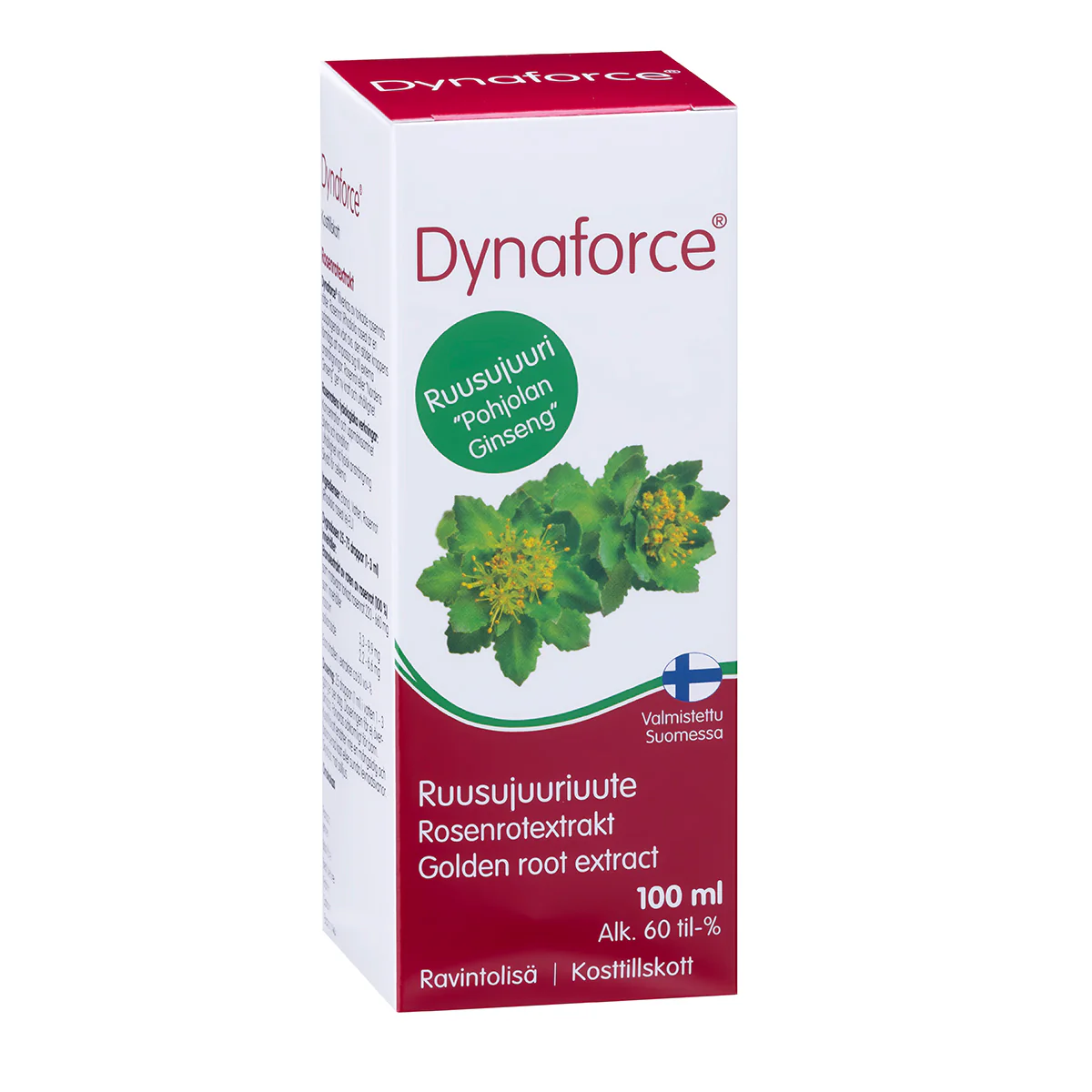 Dynaforce - Image 3