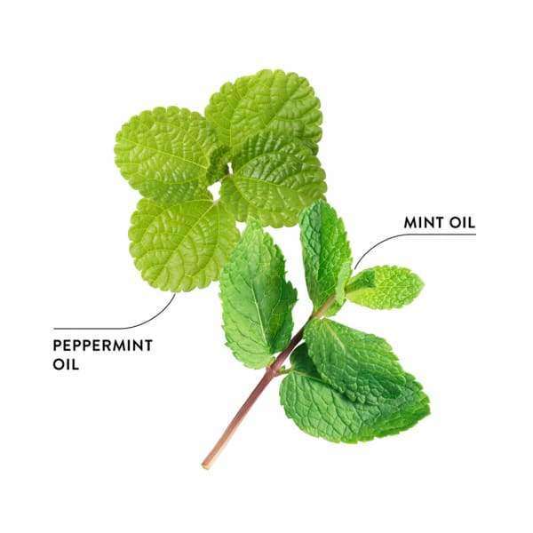 Ecodenta Minty Coconut Suuvesi - Image 4