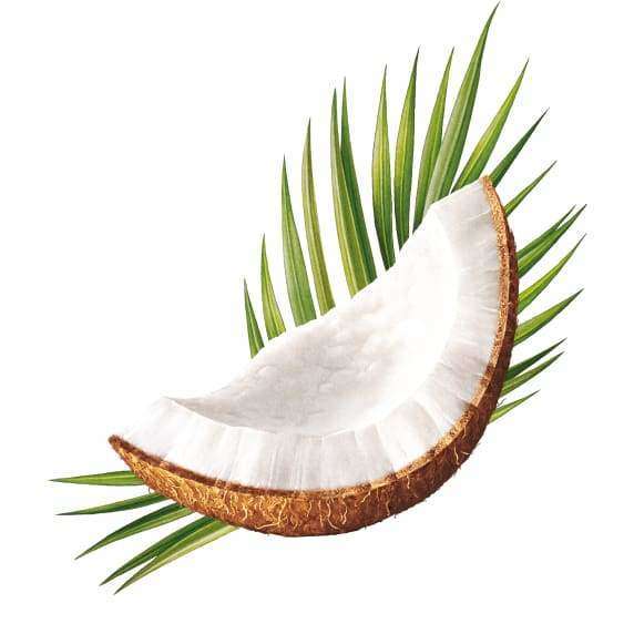 Ecodenta Minty Coconut Suuvesi - Image 5