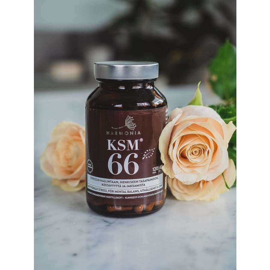 Harmonia KSM66 - Image 4
