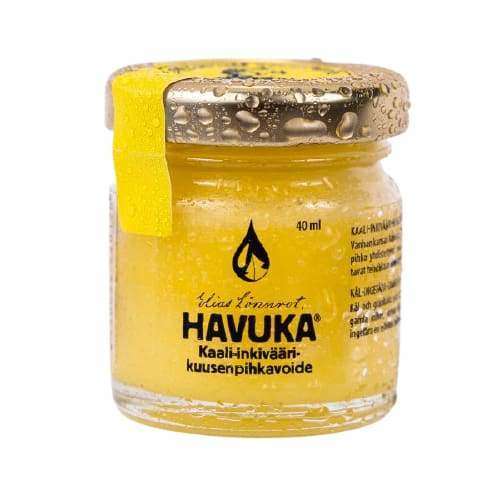 Pikkukuva 1