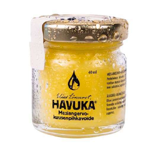 Pikkukuva 1