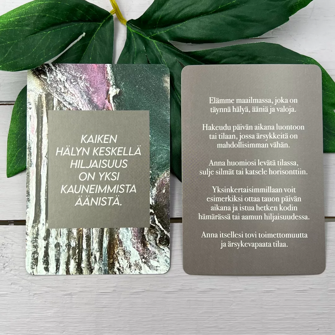 Hidasta Elämää Hitaammassa Tahdissa Rauhoittumiskortit - Image 4