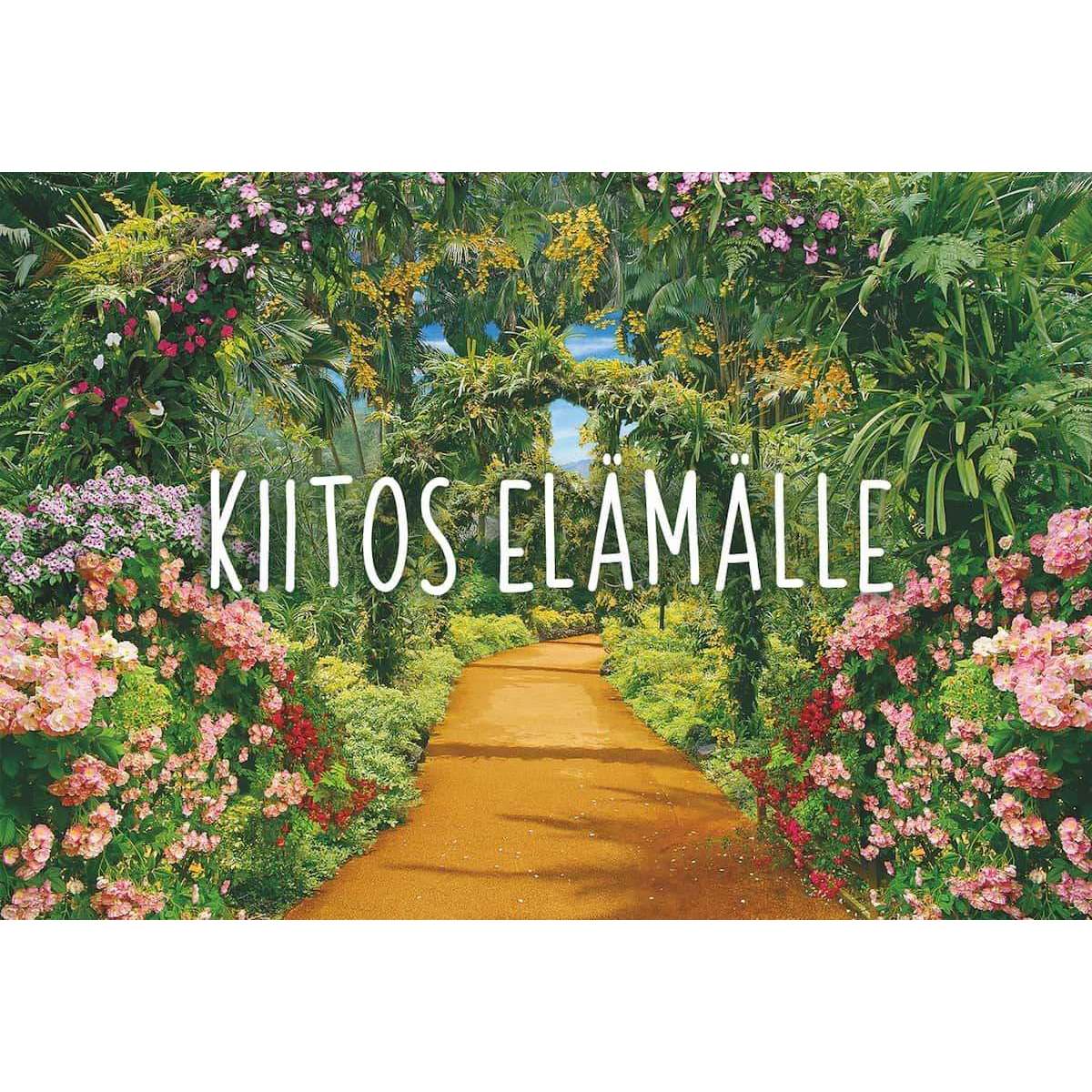 Hidasta Elämää Kuvakortit - Image 7