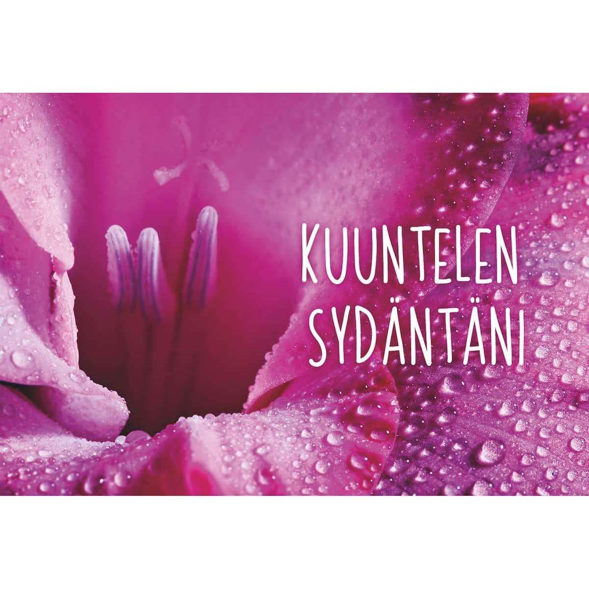 Hidasta Elämää Kuvakortit - Image 9