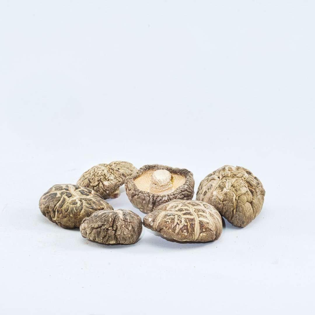 KÄÄPÄ Mushrooms Luomu Shiitake sieniuute - Image 3