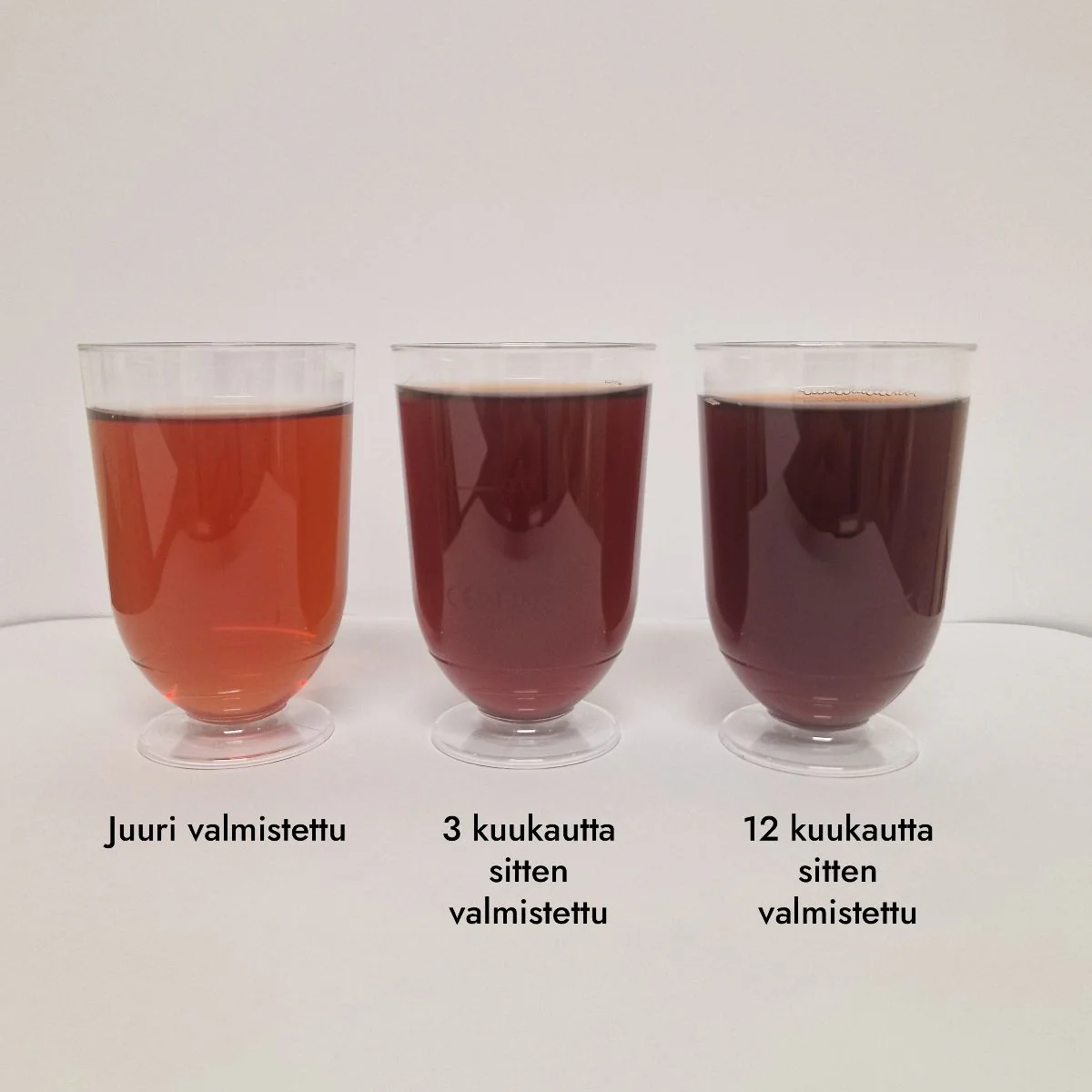 Karin Havupuu-uutejuoma 6-pack - Image 6