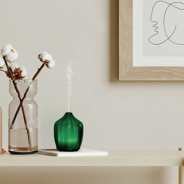 Made by Zen Fern Diffuuseri - Image 4