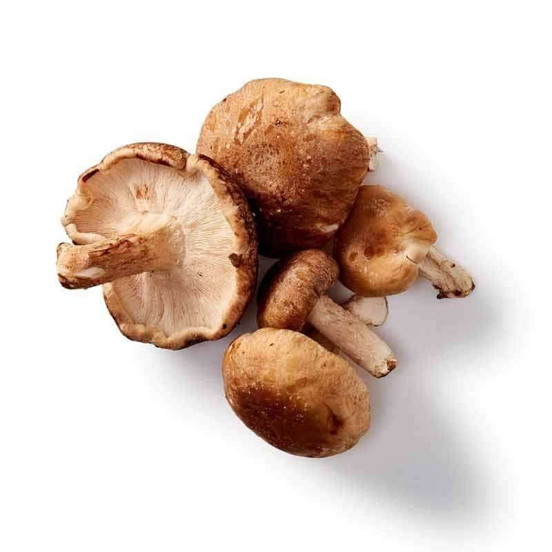 Mushrooms For Life Luomu Shiitake - Image 3
