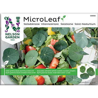Nelson Micro Leaf Vihanneskrassi