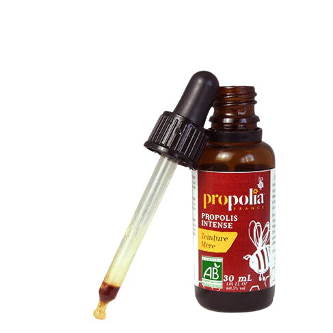 Pikkukuva 1