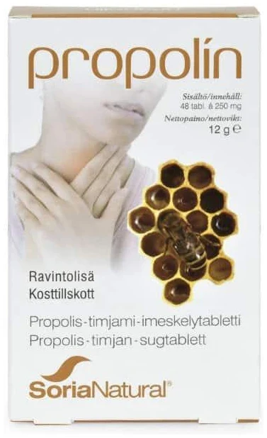 Pikkukuva 1