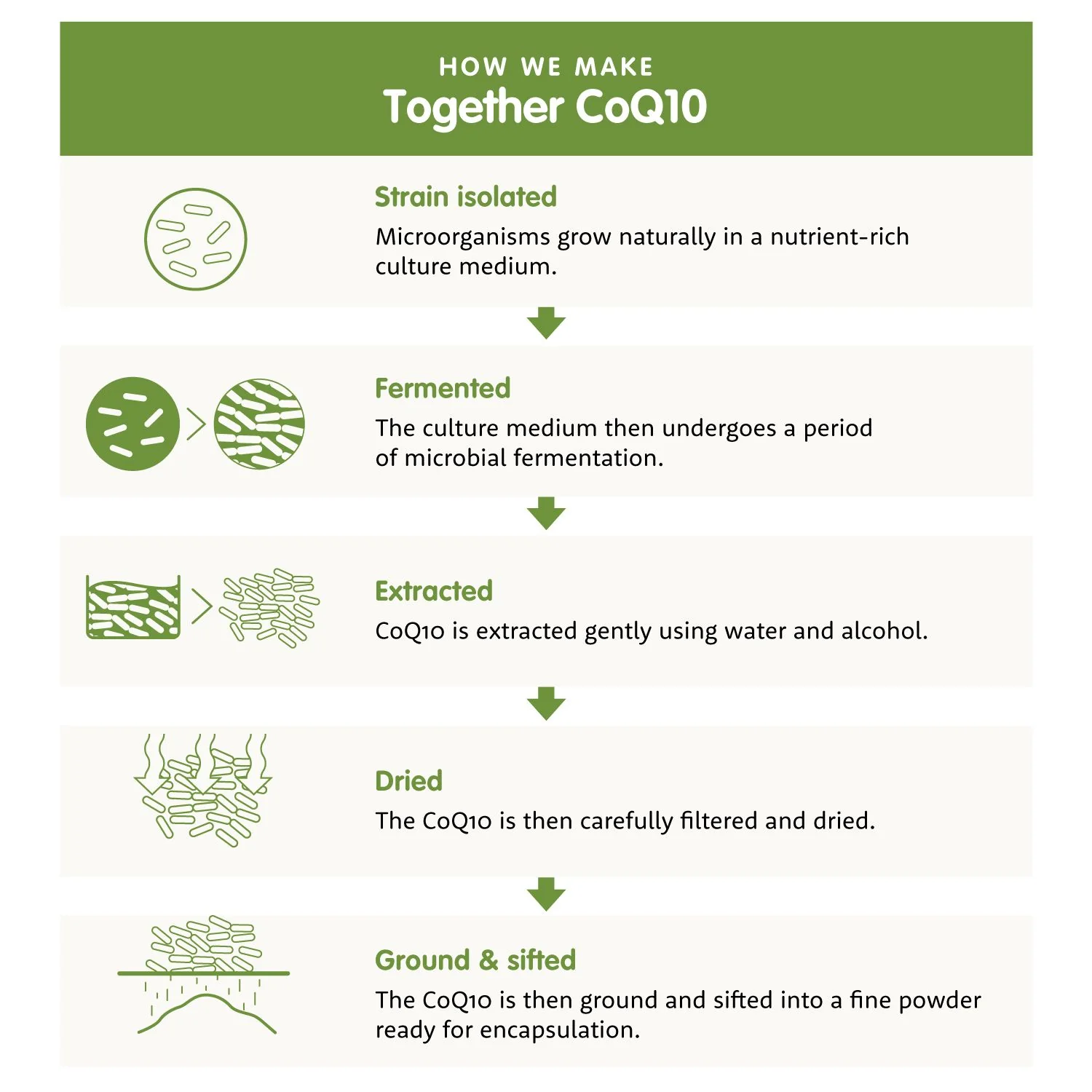 Together Health Bio-CoQ10 - Image 4