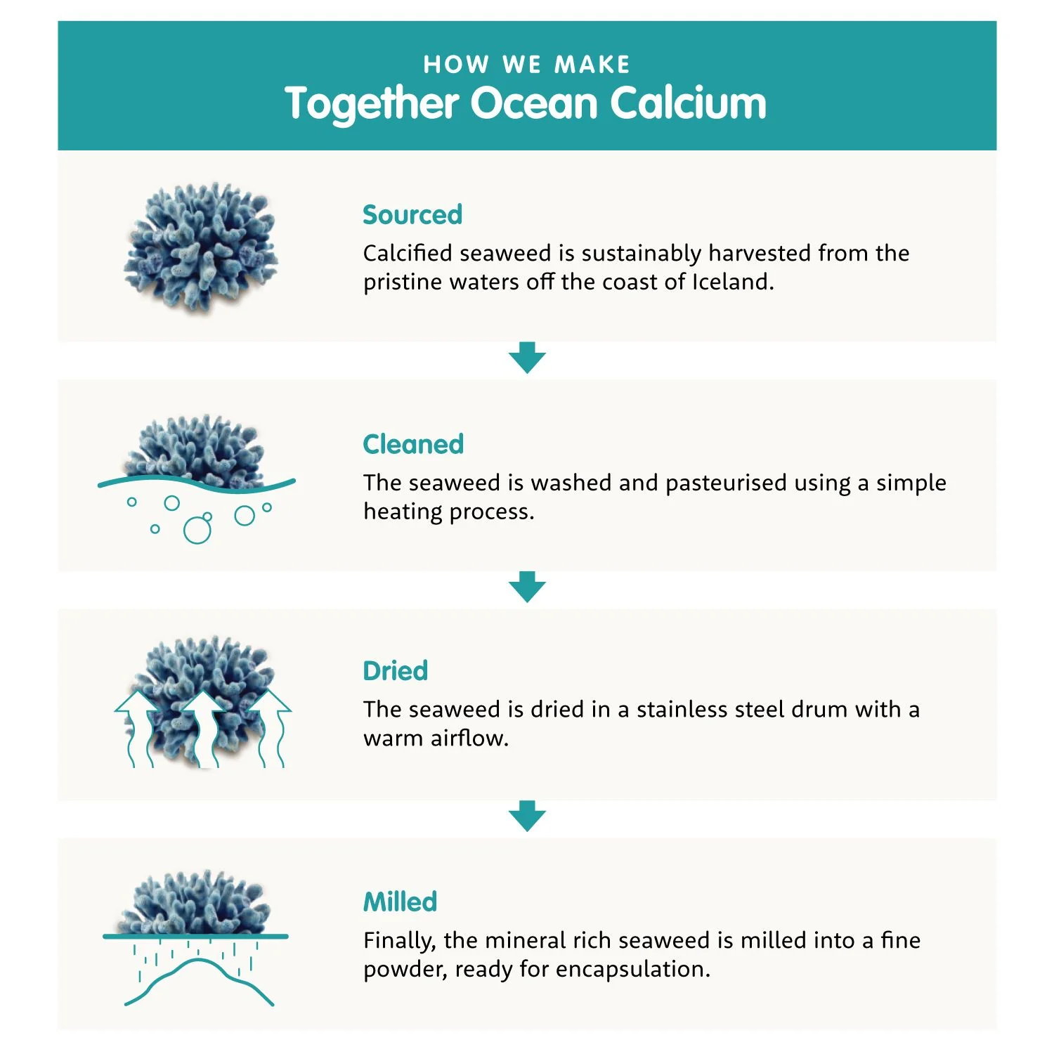 Together Health Bone Aid - Image 4