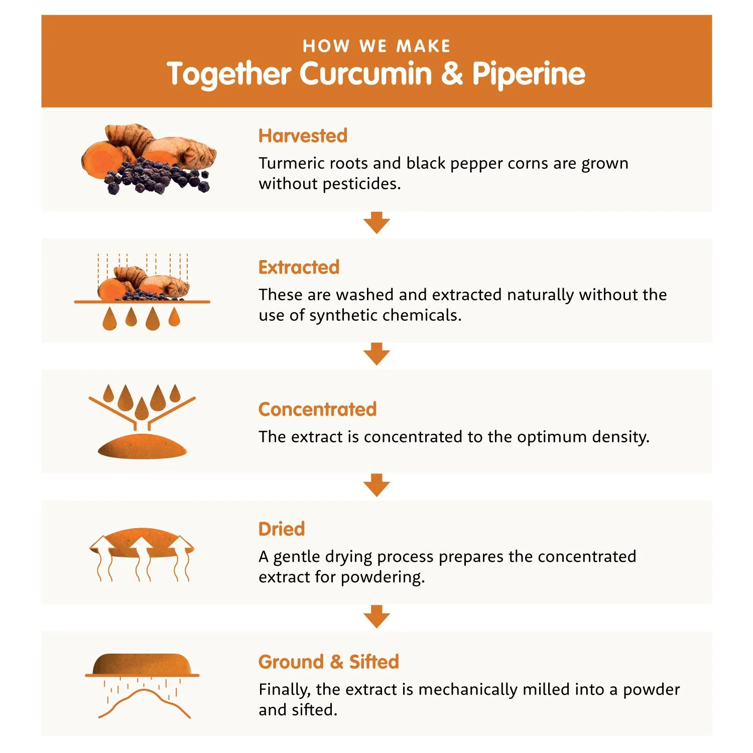 Together Health Curcumin Complex - Image 3