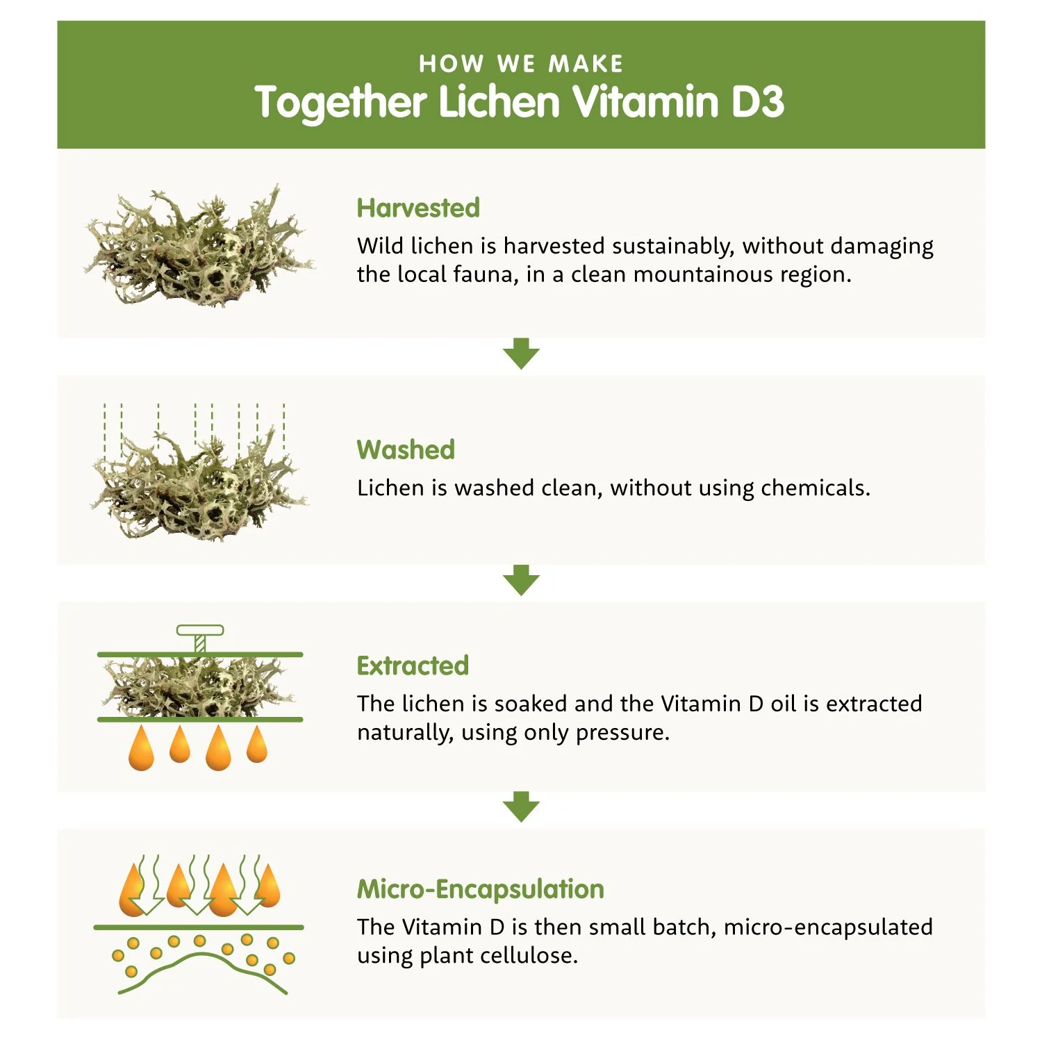 Together Health Menopause - Image 6