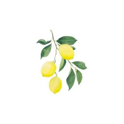 Weleda Citrus Refresh Suihkuvoide - Image 2