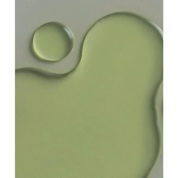 Whamisa Cactus Inner Skin Moisture Bouncy Serum - Image 2