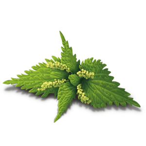 YogiTea Luomu Alkaline Herbs tee - Image 3