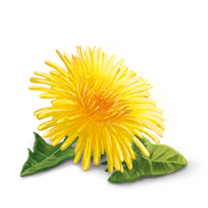 YogiTea Luomu Alkaline Herbs tee - Image 4