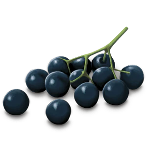YogiTea Luomu Immune Support tee - Image 4