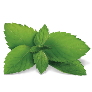 YogiTea Luomu Inner Harmony tee - Image 3