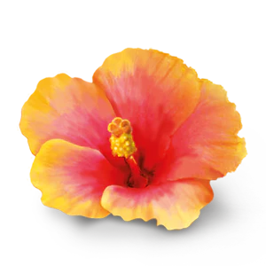 YogiTea Luomu Womens Energy tee - Image 4